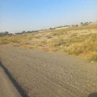 فروش زمین صنعتی کشاورزی (ورامین جاده جواد اباد)|فروش دفتر صنعتی، کشاورزی، تجاری|تهران, هاشم‌آباد|دیوار