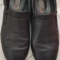 کفش بهشتیان سایز 45