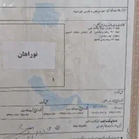 فروش برند زعفران ۱۰ ساله|عمده‌فروشی|مشهد, فدک|دیوار