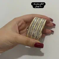 بدیلیجات