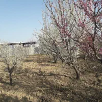 باغچه الوان ۴۰۰۰متری