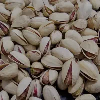 پسته تمام خندان یکدست