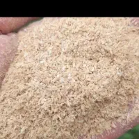 سبوس برنج،انگوتا کیفیت خوب درجه1