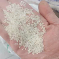 برنج ایرانی