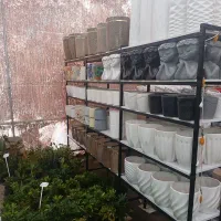 قفسه فلزی ۴ طبقه محکم و تمیز|کتابخانه، شلف، قفسه‌های دیواری|یزد, |دیوار