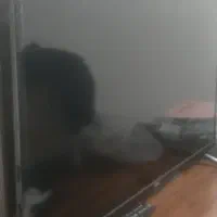 تلوزیون سام