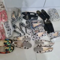 کفش های نو|کیف، کفش، کمربند|رشت, پیرکلاچای|دیوار