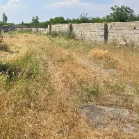 امام زاده نرسیده به قامت شهر یولی