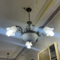 ۴ عدد لوستر لاله ای ۲ عدد لوستر پذیرایی|لوستر و چراغ آویز|اهواز, طالقانی|دیوار