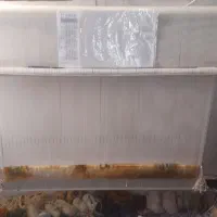 تابلو فرش|تابلو فرش|شهرکرد, |دیوار