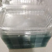 ظرف یک بار مصرف|ظروف نگهدارنده، پلاستیکی، یکبارمصرف|محمدیه-قزوین, |دیوار