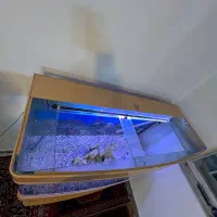 1عدد آکواریوم شیشه خم|ماهی|محمدشهر, محمدشهر|دیوار