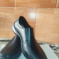 کفش و کتونی نو|کیف، کفش، کمربند|بروجرد, |دیوار