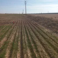 زمین حاشیه جاده سنتو مشهد