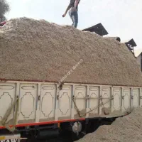 نیشکر|لوازم جانبی حیوانات|یزد, |دیوار