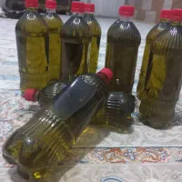 روغن زیتون اصلی تمیز روغن گیری بادستگاه /