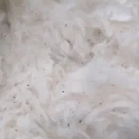 پنبه طبیعی
