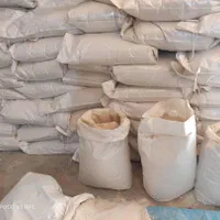 فروش پودر سیر