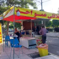 وانت فلافلی