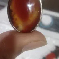 تسبیح و حجر کریمه|بدلیجات|اهواز, کوی علوی|دیوار