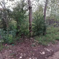 فروش زمین با کاربری مسکونی روبه روی فرودگاه|فروش زمین و ملک کلنگی|رشت, شکار اسطلخ|دیوار