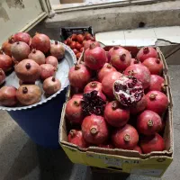 کشمش سیب انار گردو بادام و...|خوردنی و آشامیدنی|یزد, |دیوار