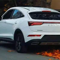 دیگنیتی پرایم تریم مارون