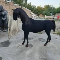 مجسمه لاکچری‌ اسب دکوری فایبرگلاس کنارسالنی