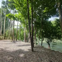 اجاره ویلا باغ باغبادران/باغبهادران|اجارهٔ کوتاه‌مدت ویلا و باغ|باغ بهادران, |دیوار