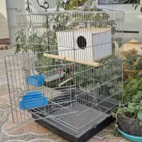 قفس پرنده|لوازم جانبی حیوانات|شاهین‌شهر, گرگاب|دیوار