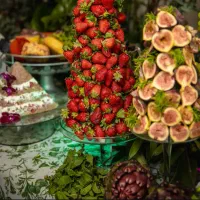 اجرای صفرتاصد مراسم،گل ارایی،فینگرفود،|خدمات پذیرایی، مراسم|شیراز, شهرک بهشتی|دیوار