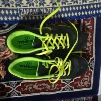 کفش ورزشی سالنی