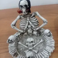 اسکلت|کلکسیون و سرگرمی|رشت, هلال احمر|دیوار