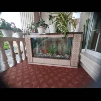 آکواریوم باشیشه ۱۰میل دراندازه ۱۰۷در ۳۰ ارتفاع ۶۰