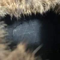 کلاه روسی اصل|لباس|اصفهان, آبشار|دیوار