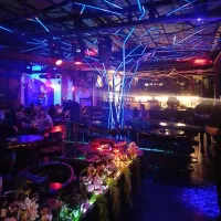 نیروی سالندار و گارسون