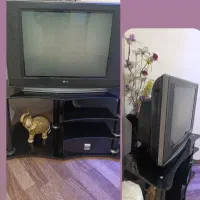 تلویزیون