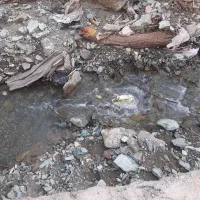 ویلا نقلی و جمع وجور درفشم/ املاک سامان