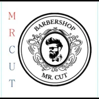 جذب مدل مو جهت تولید محتوا