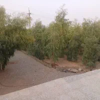 فروش.خانه ۹۵۰ متری،شوشتر.روستا تخت اناری|فروش خانه و ویلا|اهواز, غیزانیه|دیوار