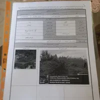 فروش زمین زیبا کنار