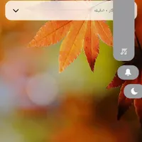 یک عدد گوشی همراه گم کردم