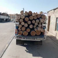 خرید انواع چوب باغی با قیمت مناسب|خدمات باغبانی و درختکاری|بافت, |دیوار