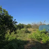 دو-پلاک-400-متری-زمین-داخل-بافت