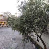 واحد ساحلی شیک|اجارهٔ کوتاهمدت ویلا و باغ|چالوس, |دیوار