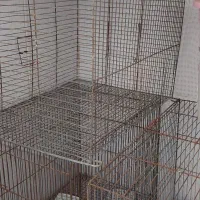 قفس پرنده