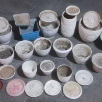 تعدادی گلدان سفالی و پلاستیکی سالم