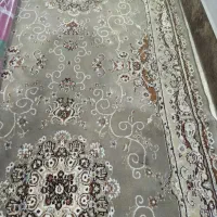کناره گردوی