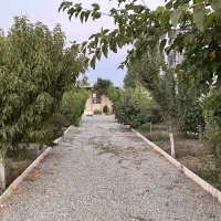 باغچه کردان جنوبی تنکمان