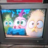 تلویزیون 21 اینچ|تلویزیون و پروژکتور|زاهدان, |دیوار